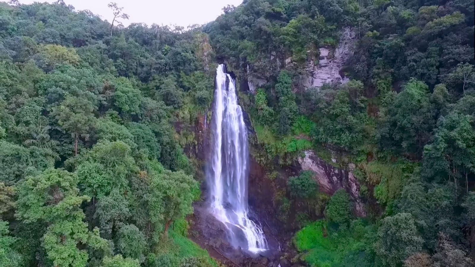 Hebbe Falls, a tall thin waterfall in a forested gorge