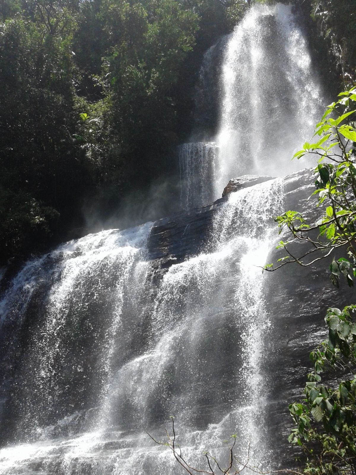 Jhari Falls pouring in white streams over dark rock among trees