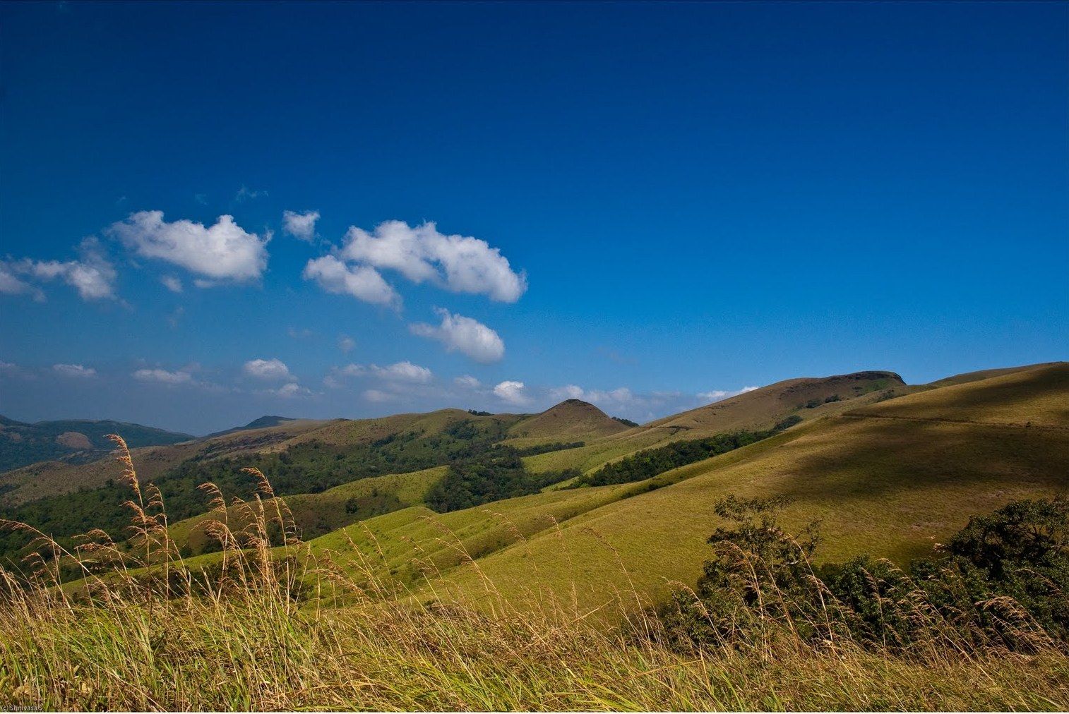 Rolling grassland and hills at Kemmanagundi