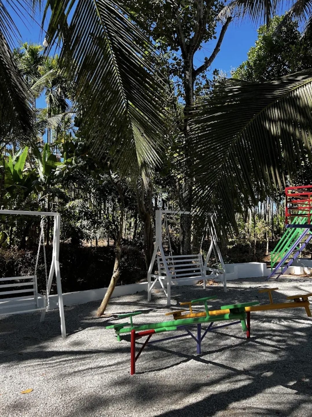 Swings and a slide among palm trees